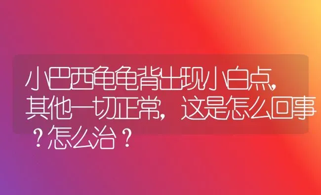 小巴西龟龟背出现小白点，其他一切正常，这是怎么回事？怎么治？ | 动物养殖问答