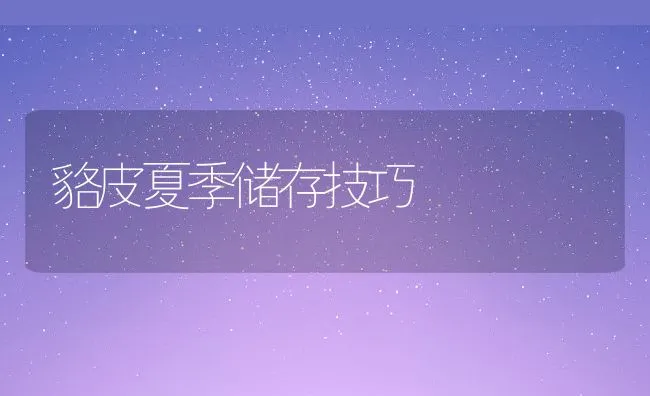 貉皮夏季储存技巧 | 水产养殖知识