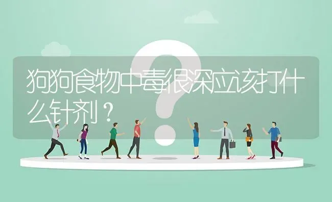 狗狗食物中毒很深应该打什么针剂？ | 动物养殖问答