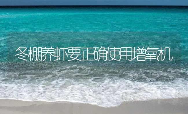 冬棚养虾要正确使用增氧机 | 海水养殖技术