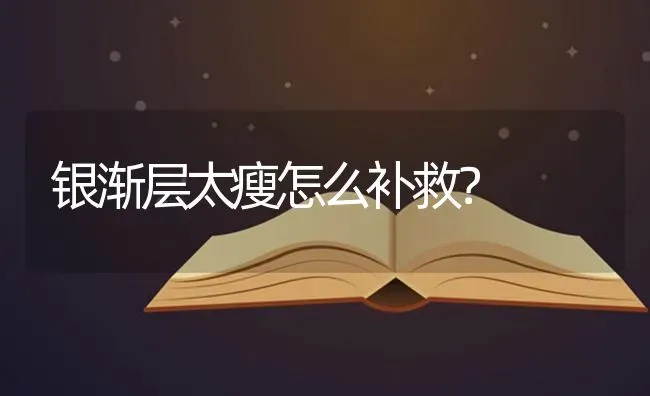 银渐层太瘦怎么补救？ | 动物养殖问答