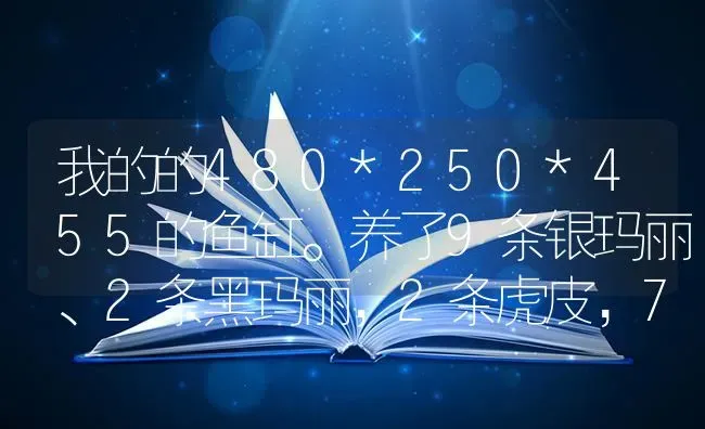 我的的480*250*455的鱼缸。养了9条银玛丽、2条黑玛丽，2条虎皮，7条孔雀鱼，一条月光鱼。还想买点鱼，感觉？ | 鱼类宠物饲养