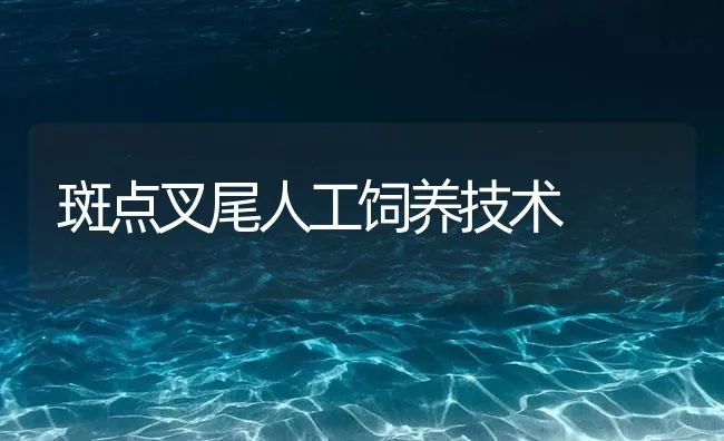 斑点叉尾人工饲养技术 | 海水养殖技术