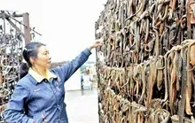 养殖水蛭成就致富梦