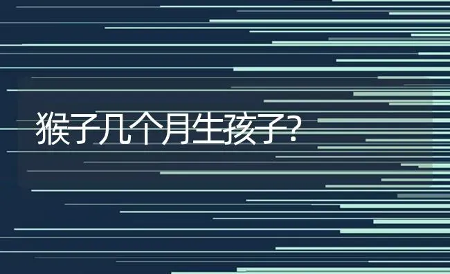 兔子为什么会不高兴？ | 动物养殖问答