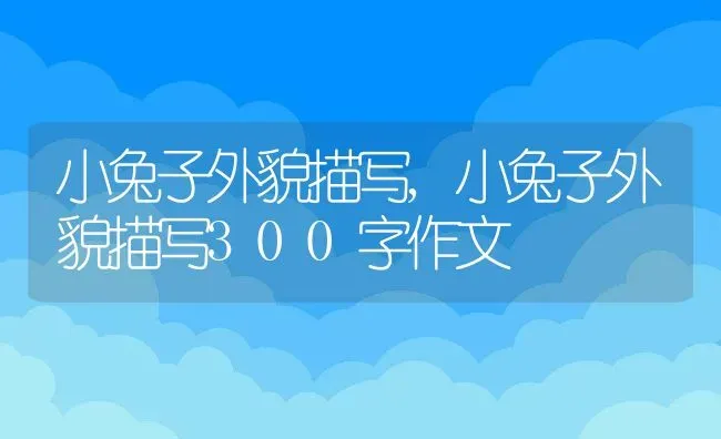 狼的祖先是谁,黄鼠狼的祖先是谁 | 宠物百科知识