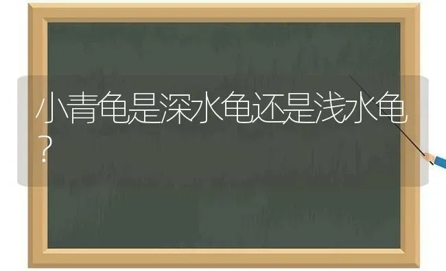 小青龟是深水龟还是浅水龟？ | 动物养殖问答