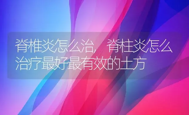 脊椎炎怎么治,脊柱炎怎么治疗最好最有效的土方 | 宠物百科知识