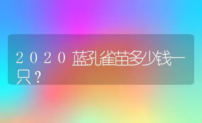 2020蓝孔雀苗多少钱一只？ | 动物养殖百科