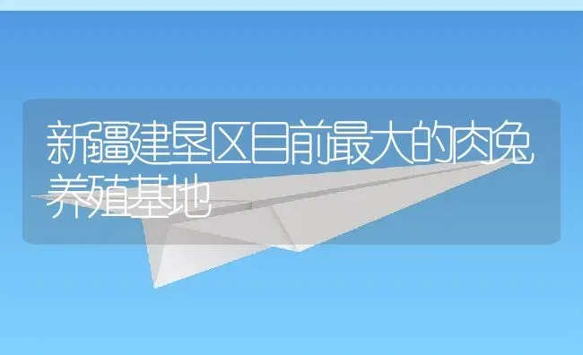 新疆建垦区目前最大的肉兔养殖基地 | 动物养殖教程