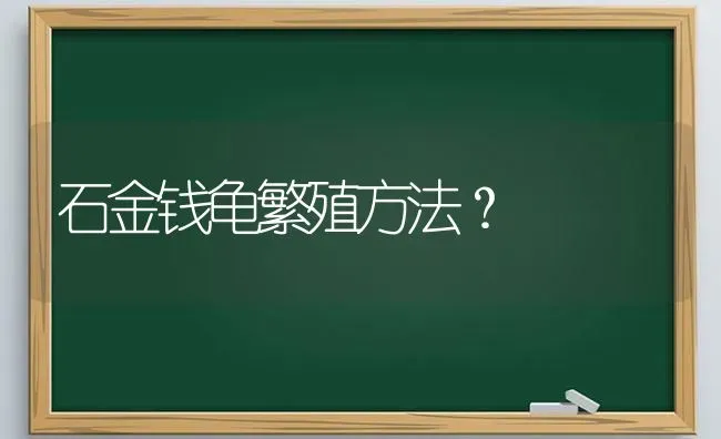 石金钱龟繁殖方法？ | 动物养殖问答