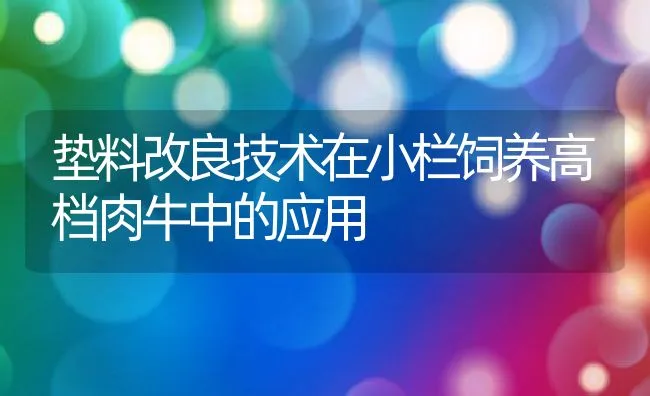 垫料改良技术在小栏饲养高档肉牛中的应用 | 动物养殖学堂