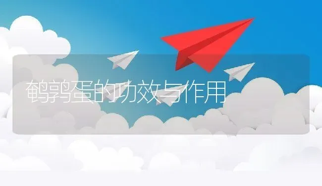 鹌鹑蛋的功效与作用 | 动物养殖百科