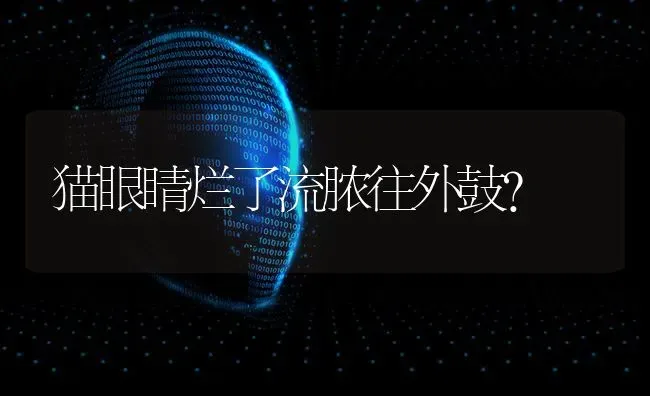 为什么狗狗有时兴奋得耳朵向后倾，尾巴下垂，疯跑，不让摸，咬人？ | 动物养殖问答