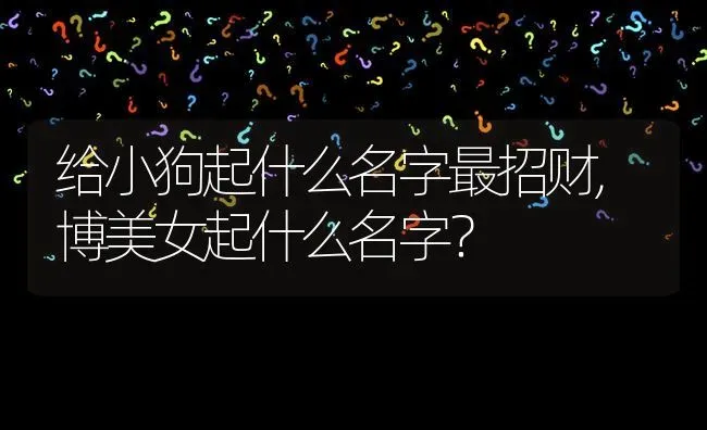 给小狗起什么名字最招财,博美女起什么名字？ | 动物养殖问答