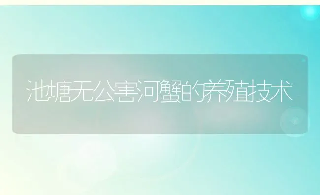 池塘无公害河蟹的养殖技术 | 动物养殖饲料