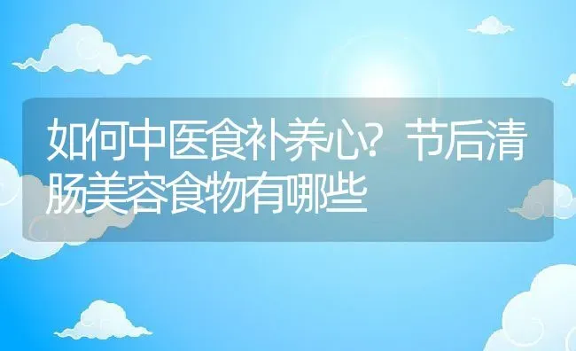 如何中医食补养心?节后清肠美容食物有哪些 | 动物养殖百科