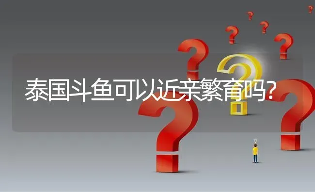 泰国斗鱼可以近亲繁育吗？ | 鱼类宠物饲养