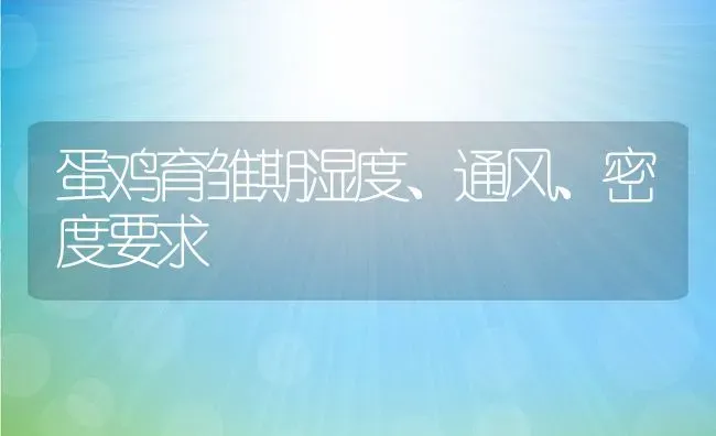 蛋鸡育雏期湿度、通风、密度要求 | 动物养殖教程