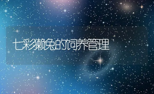 七彩獭兔的饲养管理 | 动物养殖学堂