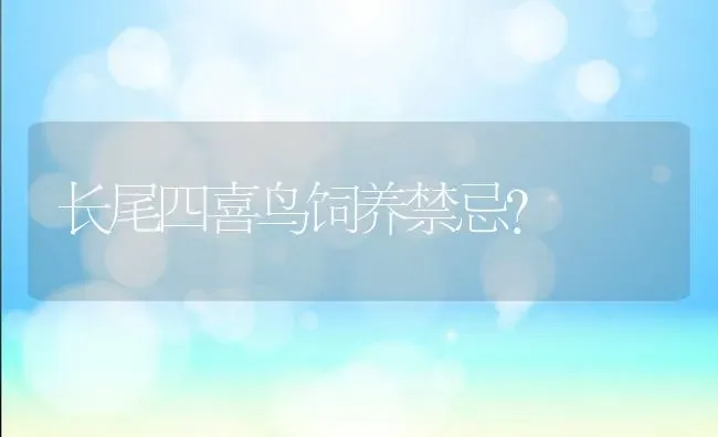 长尾四喜鸟饲养禁忌？ | 动物养殖问答