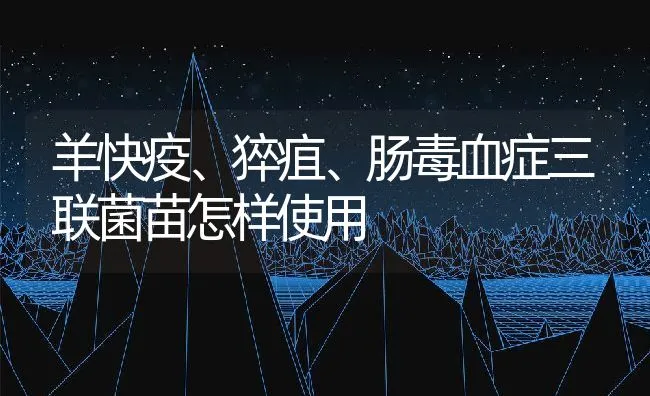 罗非鱼几种常见疾病(上) | 海水养殖技术