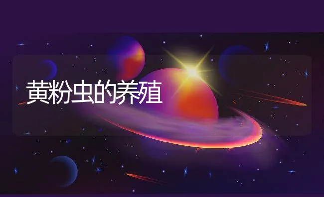 黄粉虫的养殖 | 水产养殖知识