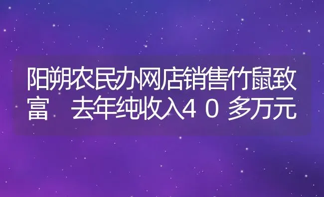 阳朔农民办网店销售竹鼠致富 去年纯收入40多万元 | 动物养殖教程