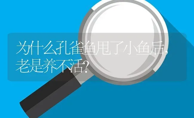 为什么孔雀鱼甩了小鱼后，老是养不活？ | 鱼类宠物饲养