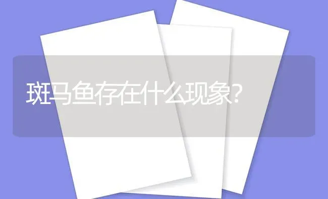 斑马鱼存在什么现象？ | 鱼类宠物饲养