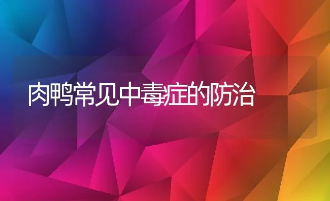 肉鸭常见中毒症的防治 | 动物养殖学堂