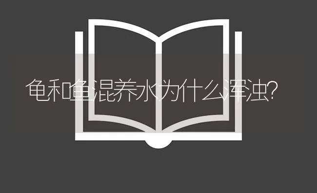 龟和鱼混养水为什么浑浊？ | 鱼类宠物饲养