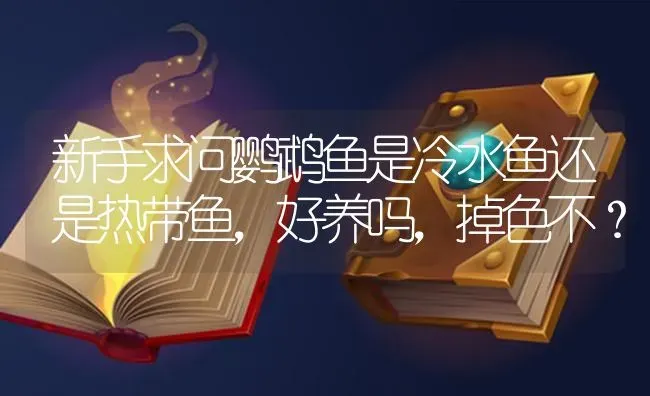 新手求问鹦鹉鱼是冷水鱼还是热带鱼，好养吗，掉色不？ | 鱼类宠物饲养