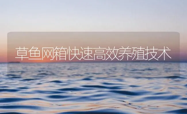 草鱼网箱快速高效养殖技术 | 海水养殖技术