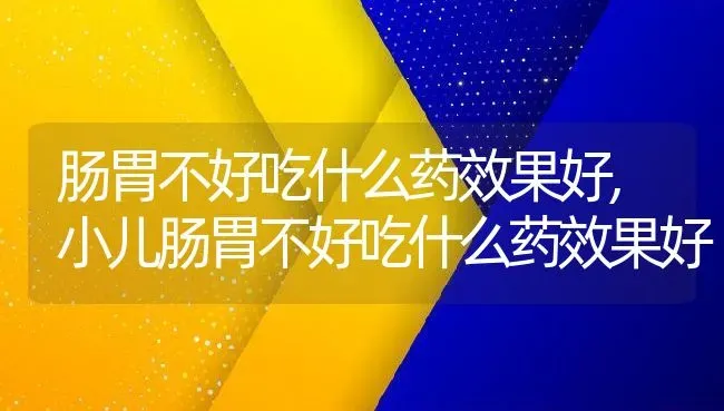 肠胃不好吃什么药效果好,小儿肠胃不好吃什么药效果好 | 宠物百科知识