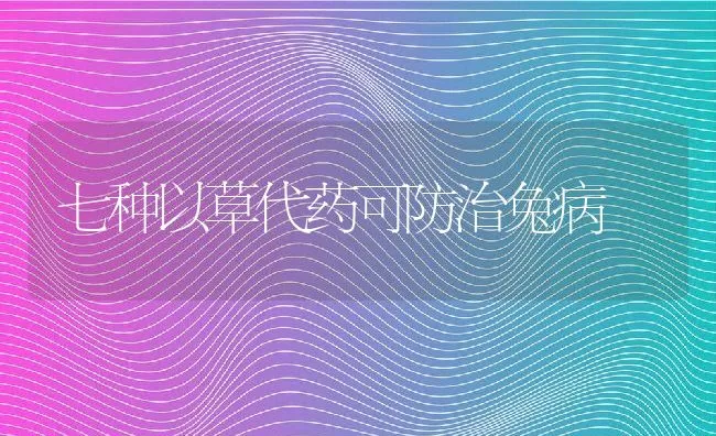 七种以草代药可防治兔病 | 动物养殖学堂