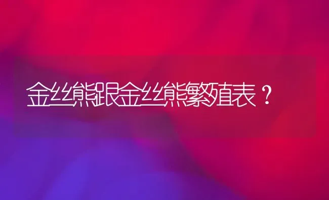 金丝熊跟金丝熊繁殖表？ | 动物养殖问答