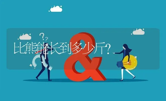 比熊能长到多少斤？ | 动物养殖问答