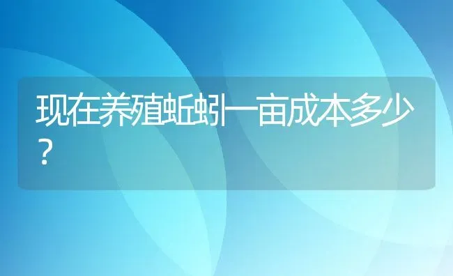 现在养殖蚯蚓一亩成本多少？ | 动物养殖百科