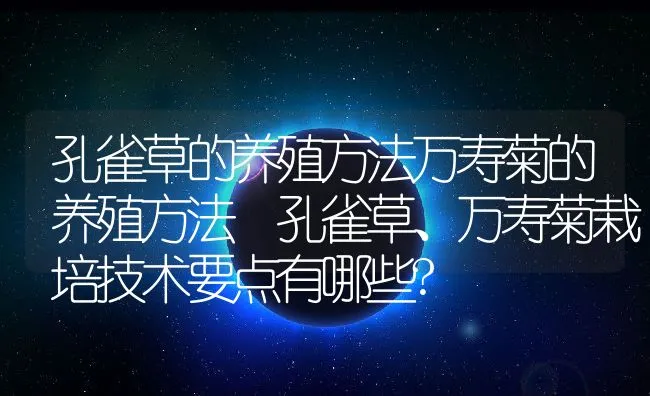 孔雀草的养殖方法万寿菊的养殖方法 孔雀草、万寿菊栽培技术要点有哪些? | 水产养殖知识