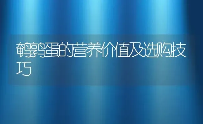 鹌鹑蛋的营养价值及选购技巧 | 动物养殖百科