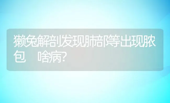 獭兔解剖发现肺部等出现脓包 啥病？ | 水产养殖知识