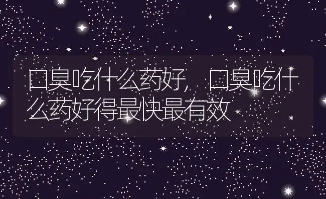 口臭吃什么药好,口臭吃什么药好得最快最有效 | 宠物百科知识