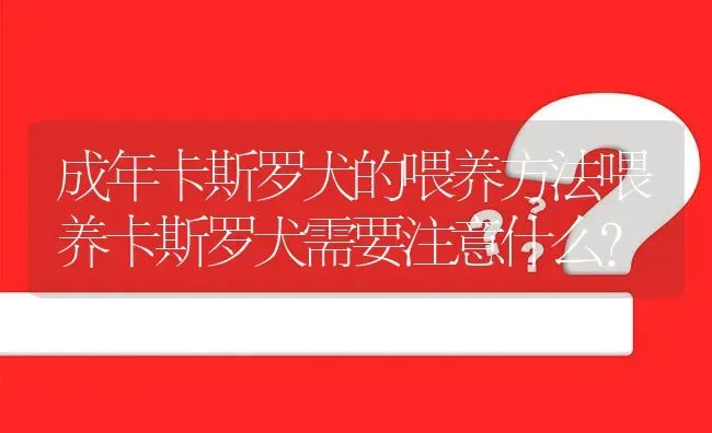 成年卡斯罗犬的喂养方法喂养卡斯罗犬需要注意什么？ | 动物养殖问答