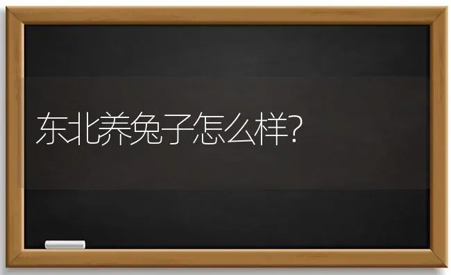 东北养兔子怎么样？ | 动物养殖问答