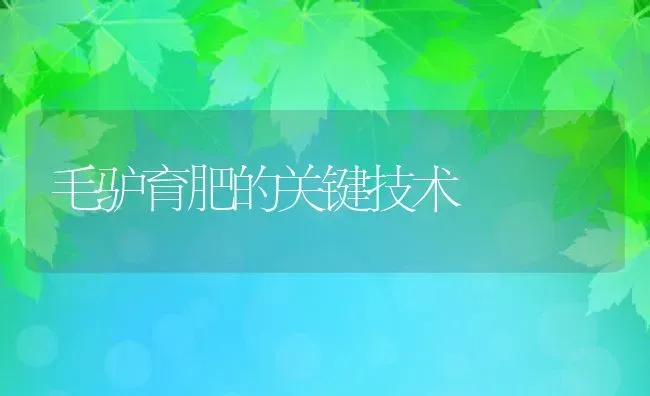 毛驴育肥的关键技术 | 动物养殖教程