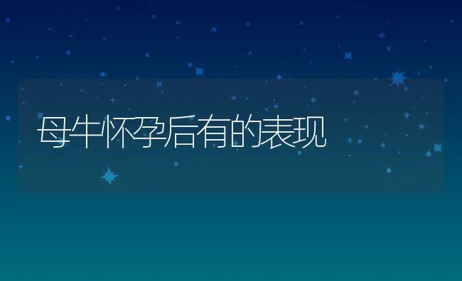 母牛怀孕后有的表现 | 动物养殖学堂