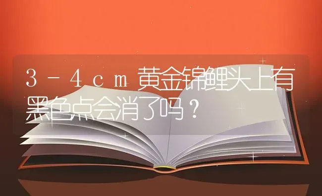 3-4cm黄金锦鲤头上有黑色点会消了吗？ | 鱼类宠物饲养