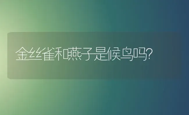 金丝雀和燕子是候鸟吗？ | 动物养殖问答