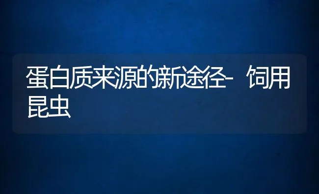 蛋白质来源的新途径-饲用昆虫 | 动物养殖饲料